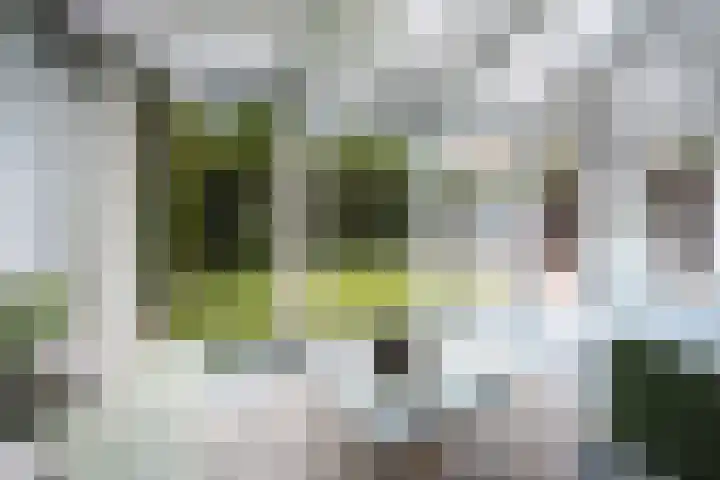 Pastoor Theelenstraat 7 Kerkrade thumbnail 33