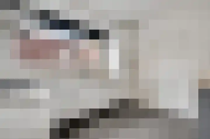 Pastoor Thijssenlaan 18 Sterksel thumbnail 10