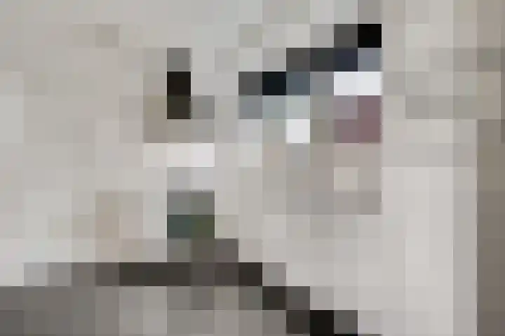 Pastoor Thijssenlaan 18 Sterksel thumbnail 11