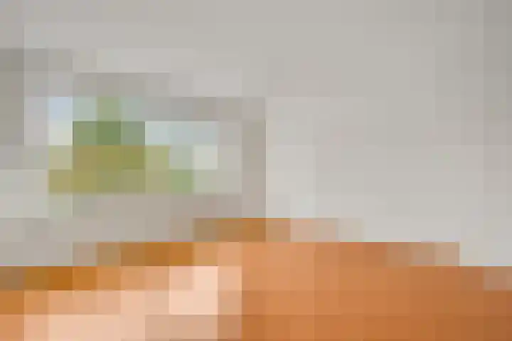 Pastoor Thijssenlaan 18 Sterksel thumbnail 15