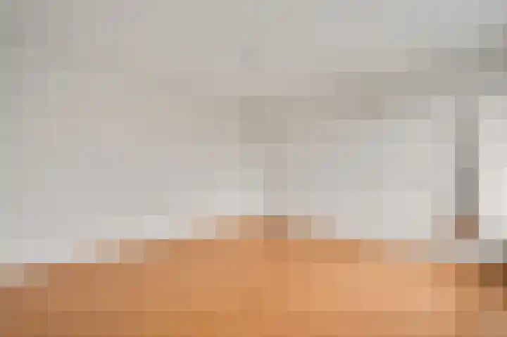 Pastoor Thijssenlaan 18 Sterksel thumbnail 16