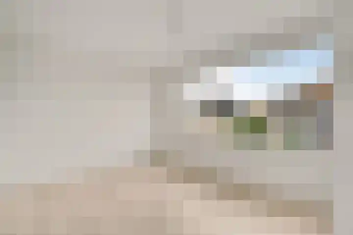 Pastoor Thijssenlaan 18 Sterksel thumbnail 17