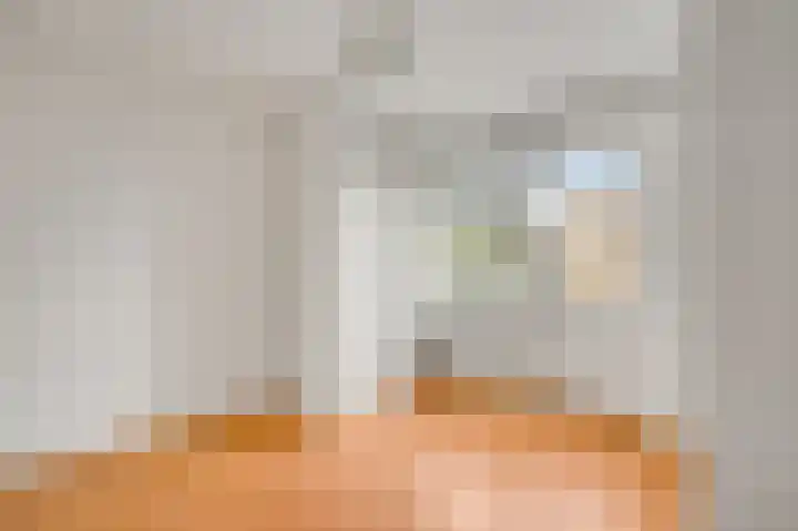 Pastoor Thijssenlaan 18 Sterksel thumbnail 19