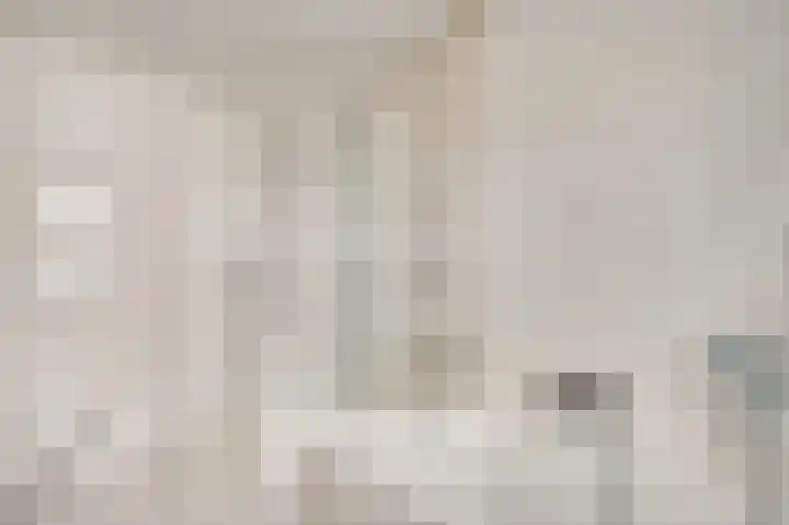 Pastoor Thijssenlaan 18 Sterksel thumbnail 21