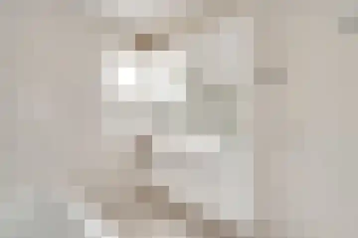 Pastoor Thijssenlaan 18 Sterksel thumbnail 22