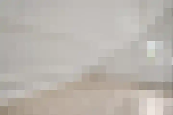 Pastoor Thijssenlaan 18 Sterksel thumbnail 25