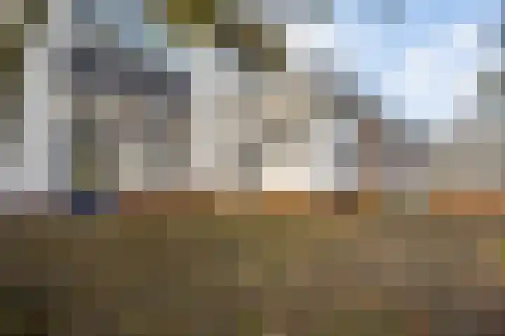 Pastoor Thijssenlaan 18 Sterksel thumbnail 26