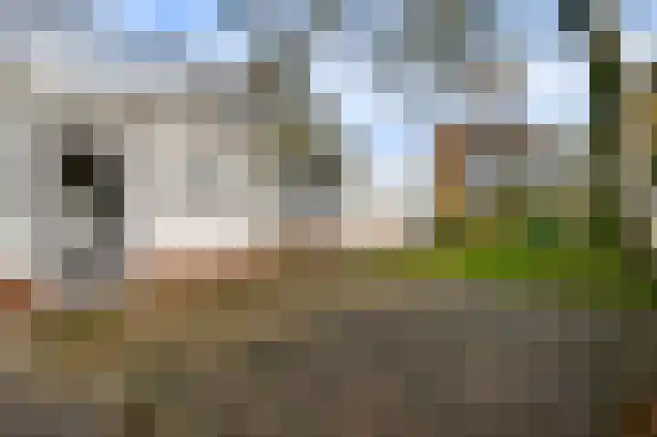 Pastoor Thijssenlaan 18 Sterksel thumbnail 27