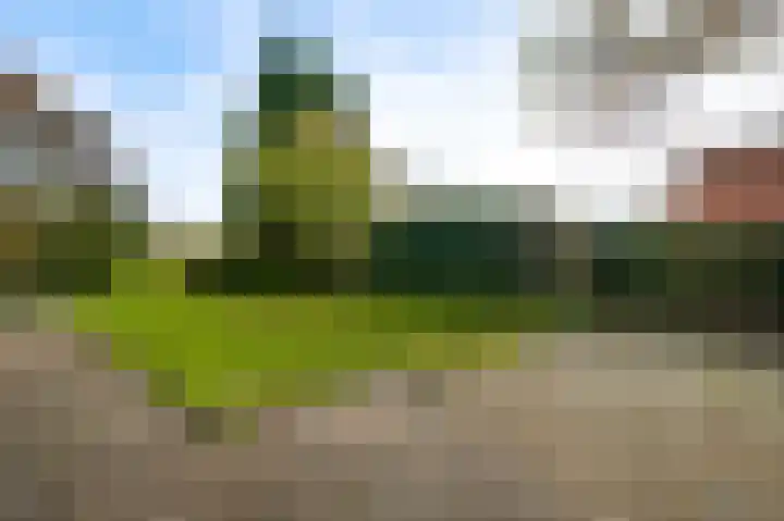 Pastoor Thijssenlaan 18 Sterksel thumbnail 29