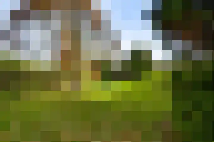 Pastoor Thijssenlaan 18 Sterksel thumbnail 30