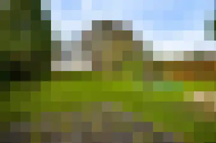 Pastoor Thijssenlaan 18 Sterksel thumbnail 31