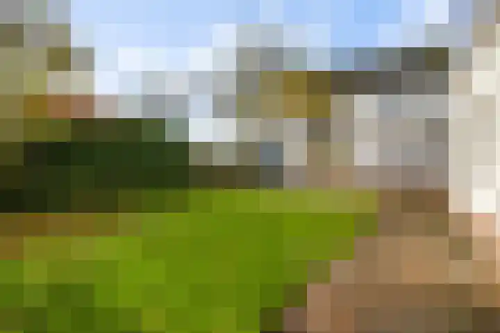 Pastoor Thijssenlaan 18 Sterksel thumbnail 32