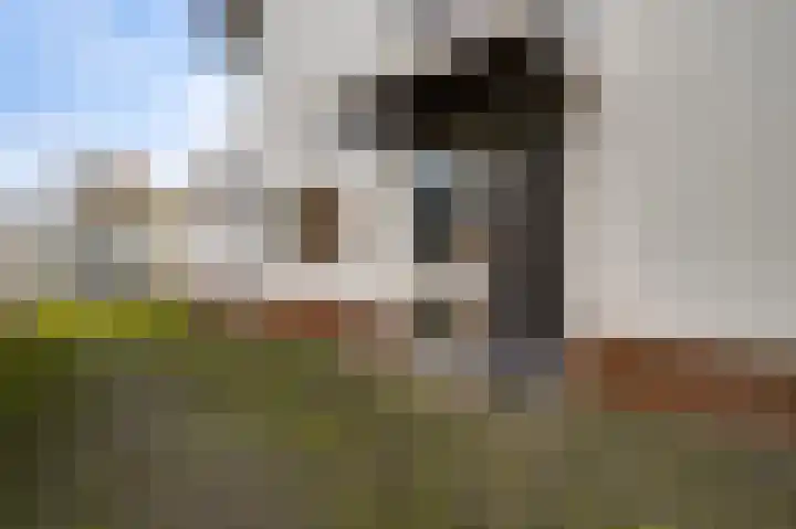 Pastoor Thijssenlaan 18 Sterksel thumbnail 5