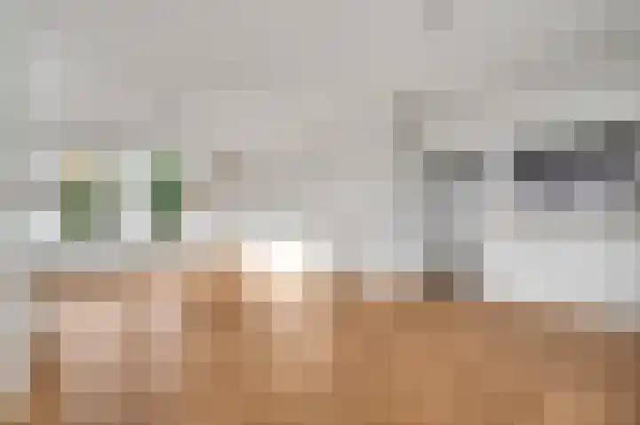 Pastoor Thijssenlaan 18 Sterksel thumbnail 8