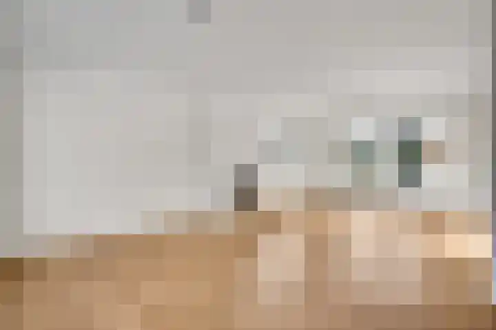 Pastoor Thijssenlaan 18 Sterksel thumbnail 9
