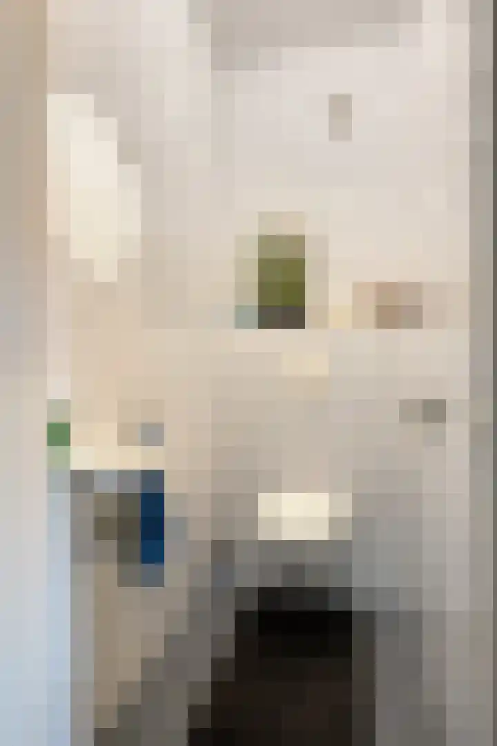 Pastoor Thijssenlaan 24 Sterksel thumbnail 10