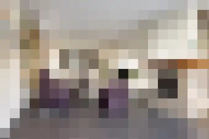 Pastoor Thijssenlaan 24 Sterksel thumbnail 12