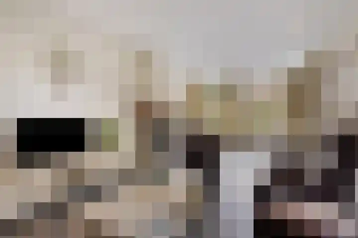 Pastoor Thijssenlaan 24 Sterksel thumbnail 13