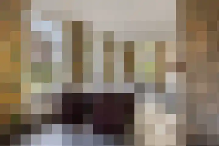 Pastoor Thijssenlaan 24 Sterksel thumbnail 14