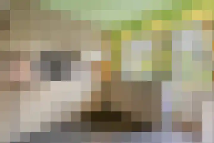Pastoor Thijssenlaan 24 Sterksel thumbnail 16