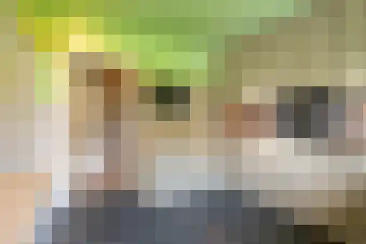 Pastoor Thijssenlaan 24 Sterksel thumbnail 17