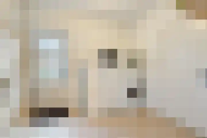 Pastoor Thijssenlaan 24 Sterksel thumbnail 18