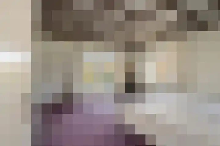 Pastoor Thijssenlaan 24 Sterksel thumbnail 19