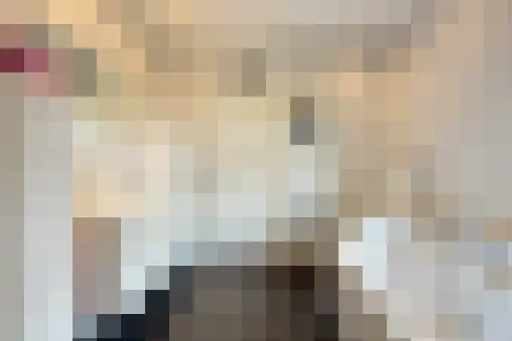 Pastoor Thijssenlaan 24 Sterksel thumbnail 22