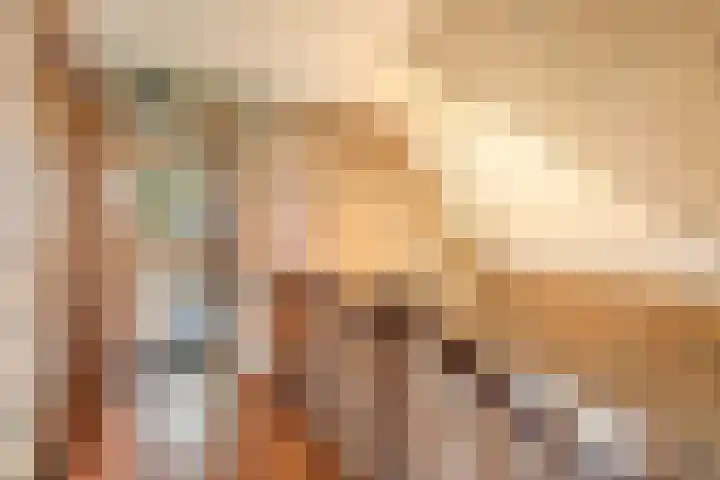 Pastoor Thijssenlaan 24 Sterksel thumbnail 25