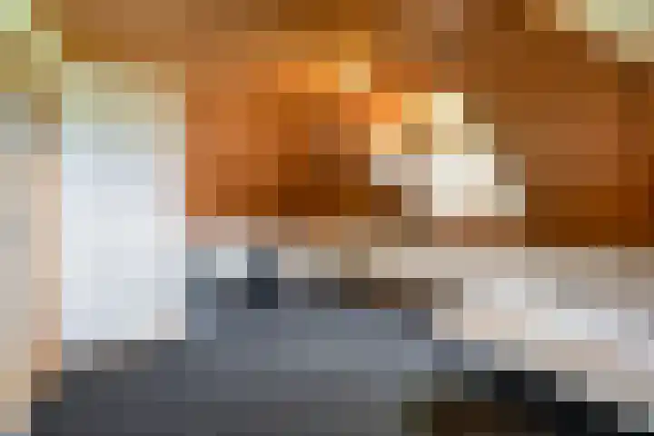 Pastoor Thijssenlaan 24 Sterksel thumbnail 26
