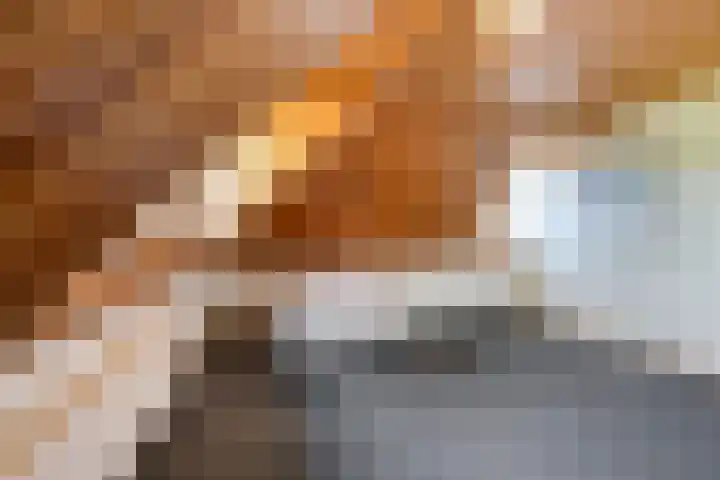 Pastoor Thijssenlaan 24 Sterksel thumbnail 27