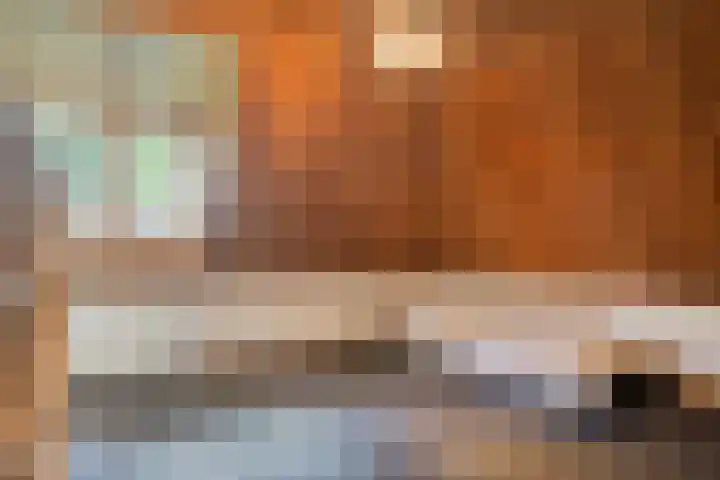 Pastoor Thijssenlaan 24 Sterksel thumbnail 28