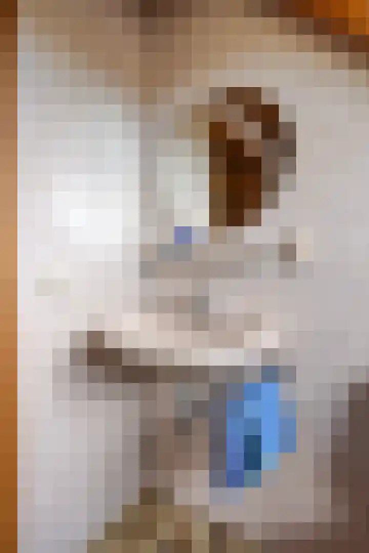 Pastoor Thijssenlaan 24 Sterksel thumbnail 33