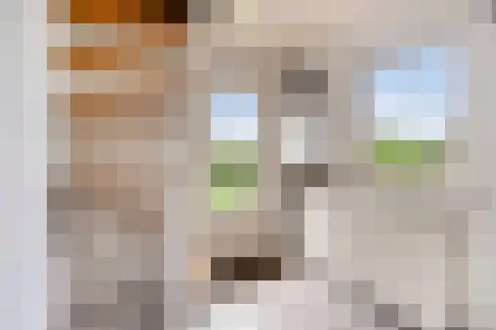 Pastoor Thijssenlaan 24 Sterksel thumbnail 35