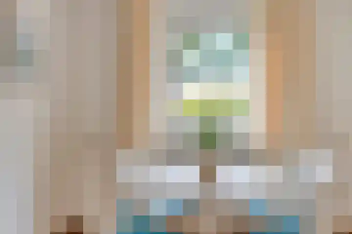 Pastoor Thijssenlaan 24 Sterksel thumbnail 39