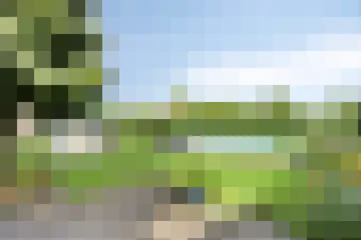 Pastoor Thijssenlaan 24 Sterksel thumbnail 4