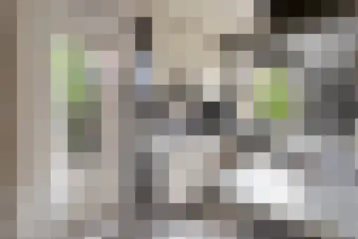 Pastoor Thijssenlaan 24 Sterksel thumbnail 41