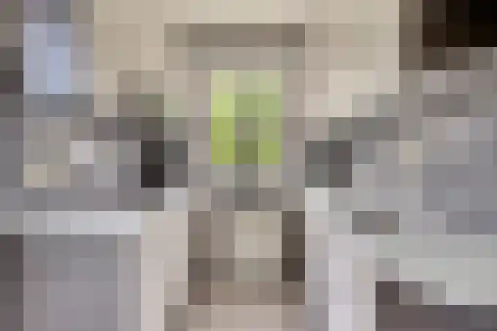 Pastoor Thijssenlaan 24 Sterksel thumbnail 42