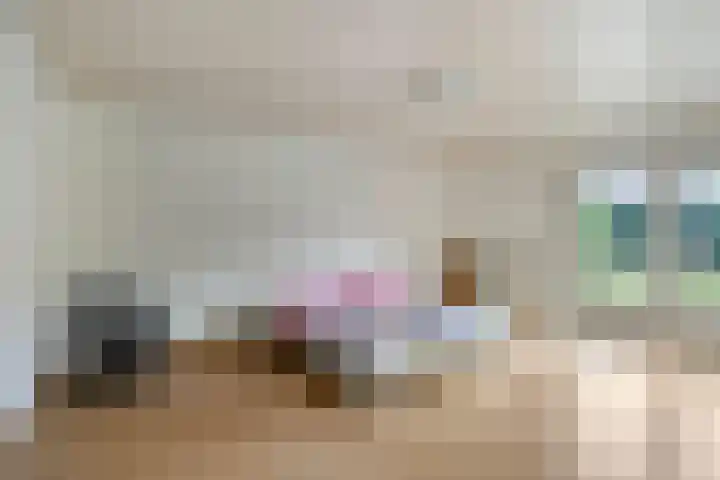 Pastoor Thijssenlaan 24 Sterksel thumbnail 44