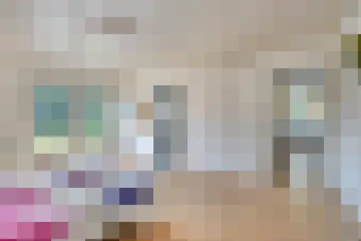 Pastoor Thijssenlaan 24 Sterksel thumbnail 45