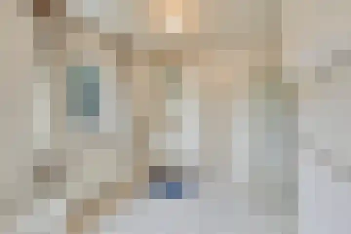 Pastoor Thijssenlaan 24 Sterksel thumbnail 46