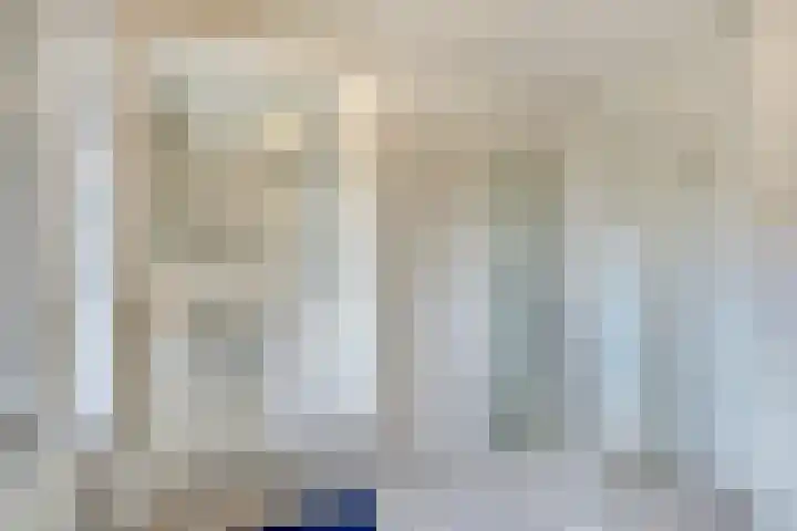 Pastoor Thijssenlaan 24 Sterksel thumbnail 47