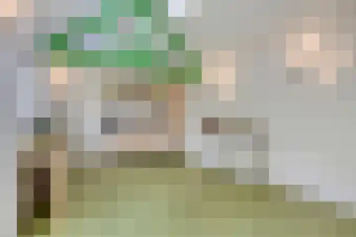 Pastoor Thijssenlaan 24 Sterksel thumbnail 51