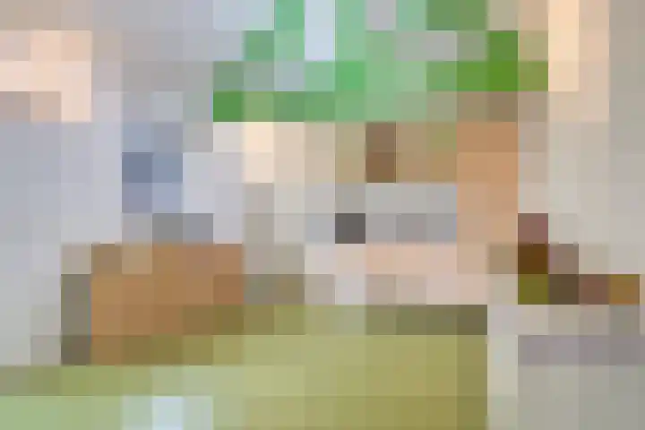 Pastoor Thijssenlaan 24 Sterksel thumbnail 52