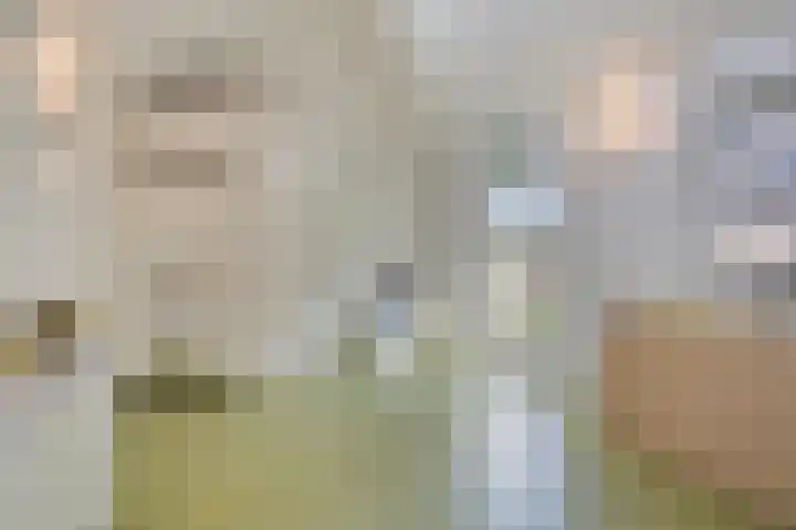 Pastoor Thijssenlaan 24 Sterksel thumbnail 53