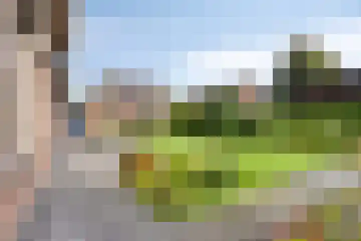 Pastoor Thijssenlaan 24 Sterksel thumbnail 57
