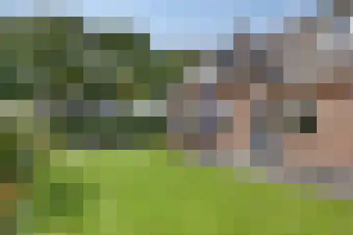 Pastoor Thijssenlaan 24 Sterksel thumbnail 59