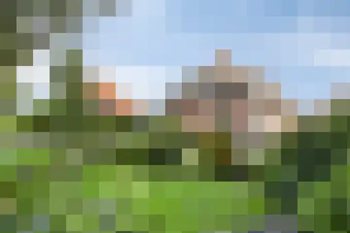 Pastoor Thijssenlaan 24 Sterksel thumbnail 6