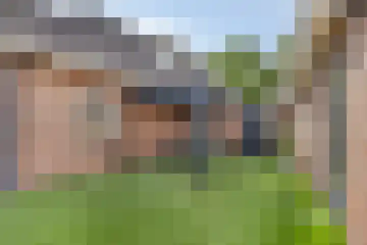 Pastoor Thijssenlaan 24 Sterksel thumbnail 60