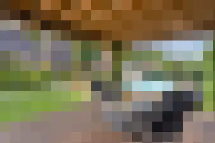 Pastoor Thijssenlaan 24 Sterksel thumbnail 66